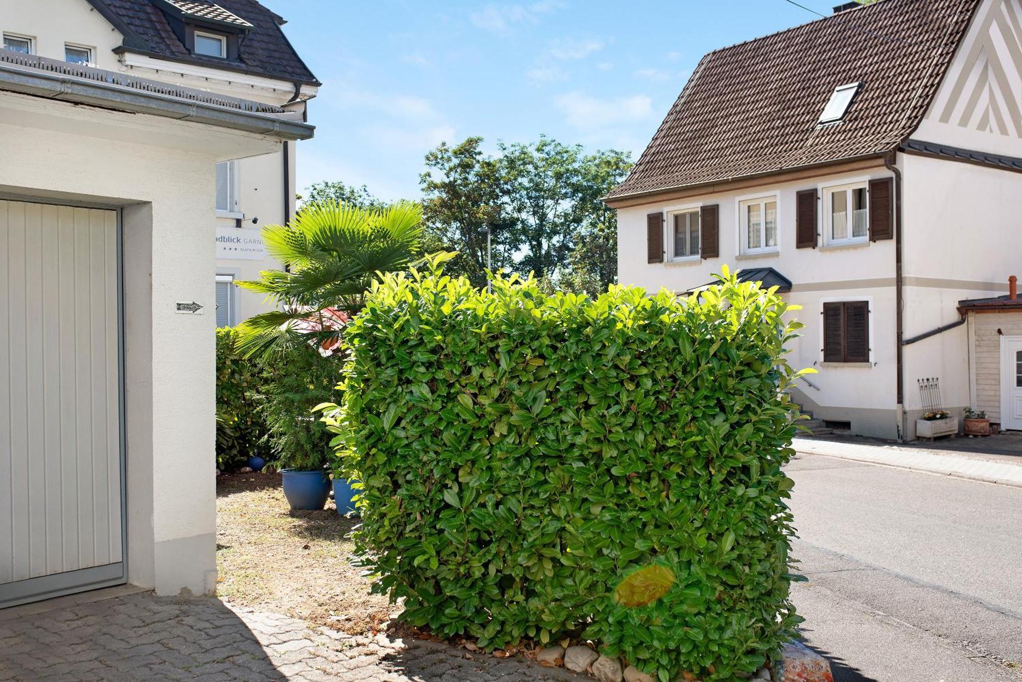Bluehome Ferienwohnung Bad Bellingen Exterior photo